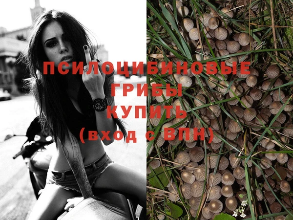 крисы Алексин